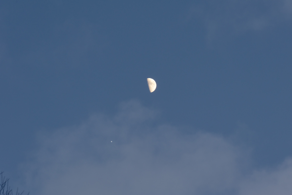 Mond mit Jupiter18012024 tageslicht